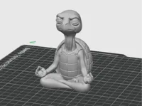 0.16mm layer, 2 walls, 15% infill