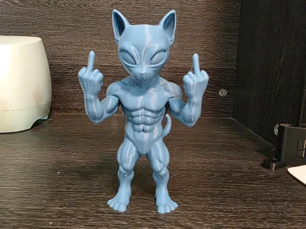 https://makerworld.bblmw.com/makerworld/model/US1c96c203c5eb79/design/2025-09-21_3918b16e761288.jpg