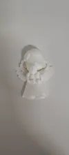 0.08mm layer, 2 walls, 5% infill