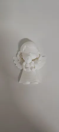 0.08mm layer, 2 walls, 5% infill