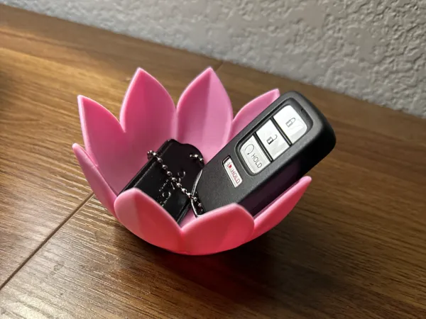 https://makerworld.bblmw.com/makerworld/model/US1c9c08311b049c/design/2025-06-30_b16fd57d129158.jpg