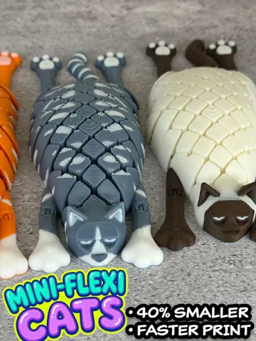 Letrero o emblema decorativo: Mini-Flexi Cat — vista de referencia 2
