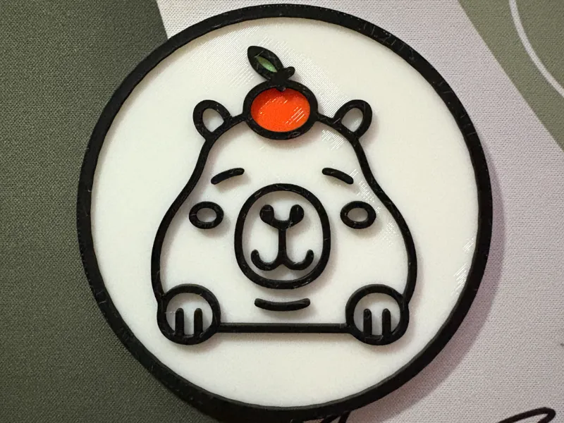 Capybara coaster