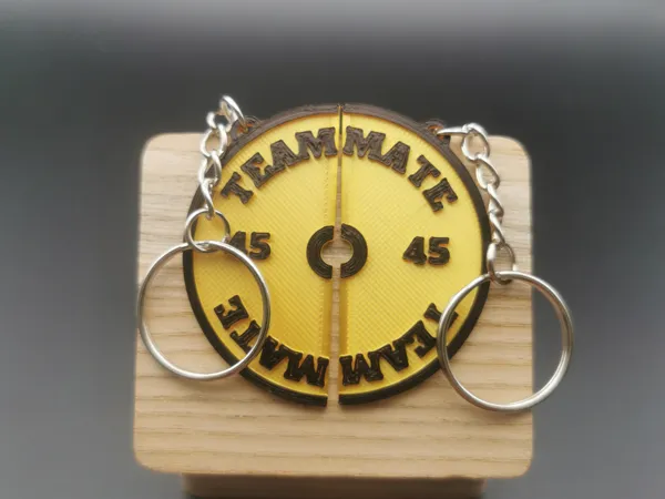 https://makerworld.bblmw.com/makerworld/model/US1c9f63d36df043/design/2025-03-30_c64b177be950c.jpg