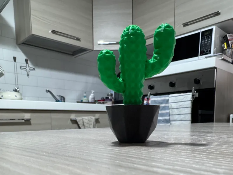 Cactus diamond