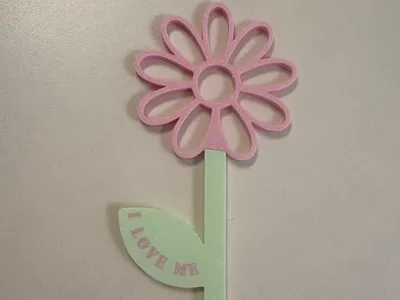 VALENTINE'S DAISY