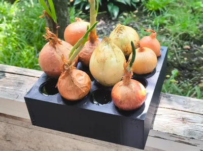 Plant Propagator Box