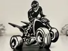 Yamaha Raptor 660/700 Silhouette