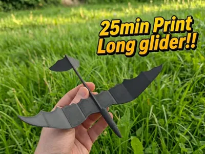 Aerodynamic long glider with wave wings
