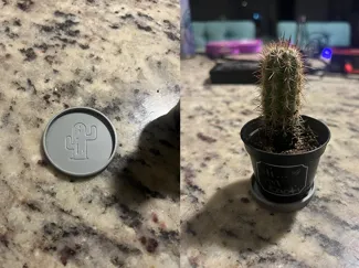 50mm x 5mm tall Cactus Plant Saucer 