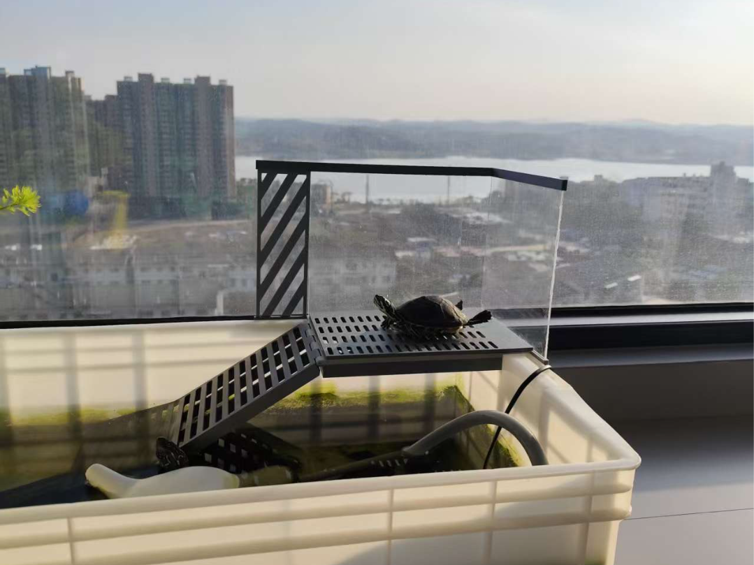 高颜值龟晒台，龟龟的定制海景房