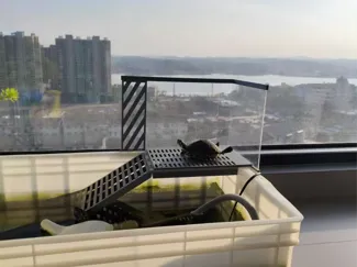 高颜值龟晒台，龟龟的定制海景房