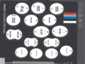 Meiosis