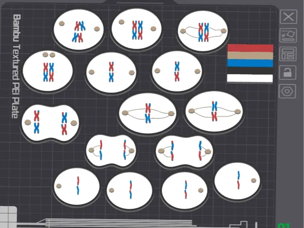 https://makerworld.bblmw.com/makerworld/model/US1cb387a1977111/design/2025-11-10_c70c73daecd3e8.png
