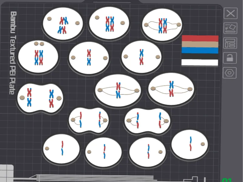 Meiosis