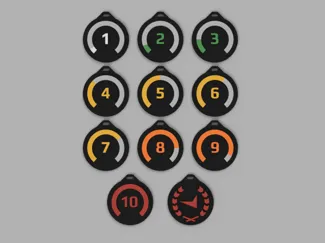 Faceit Rank Keychains
