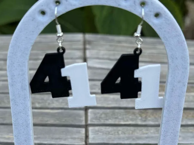 41 Earrings