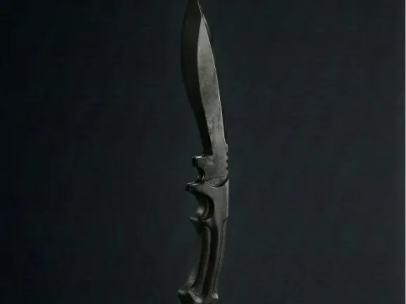 CS 2 - Kukri Knife