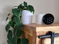 Konischer Blumentopf Ø 100 mm – Höhe 95 mm