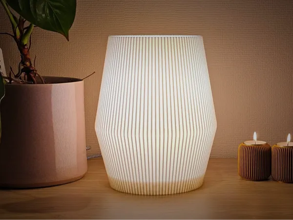 https://makerworld.bblmw.com/makerworld/model/US1cbf7c325bffff/design/2024-12-30_7925da831931d.jpg