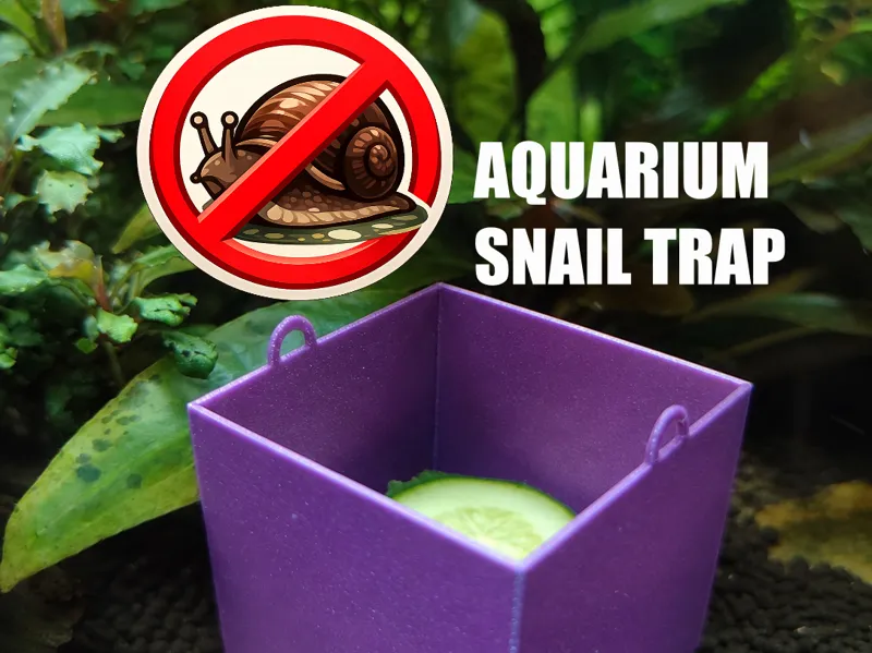 Aquarium snail trap box version (EASY PRINT)