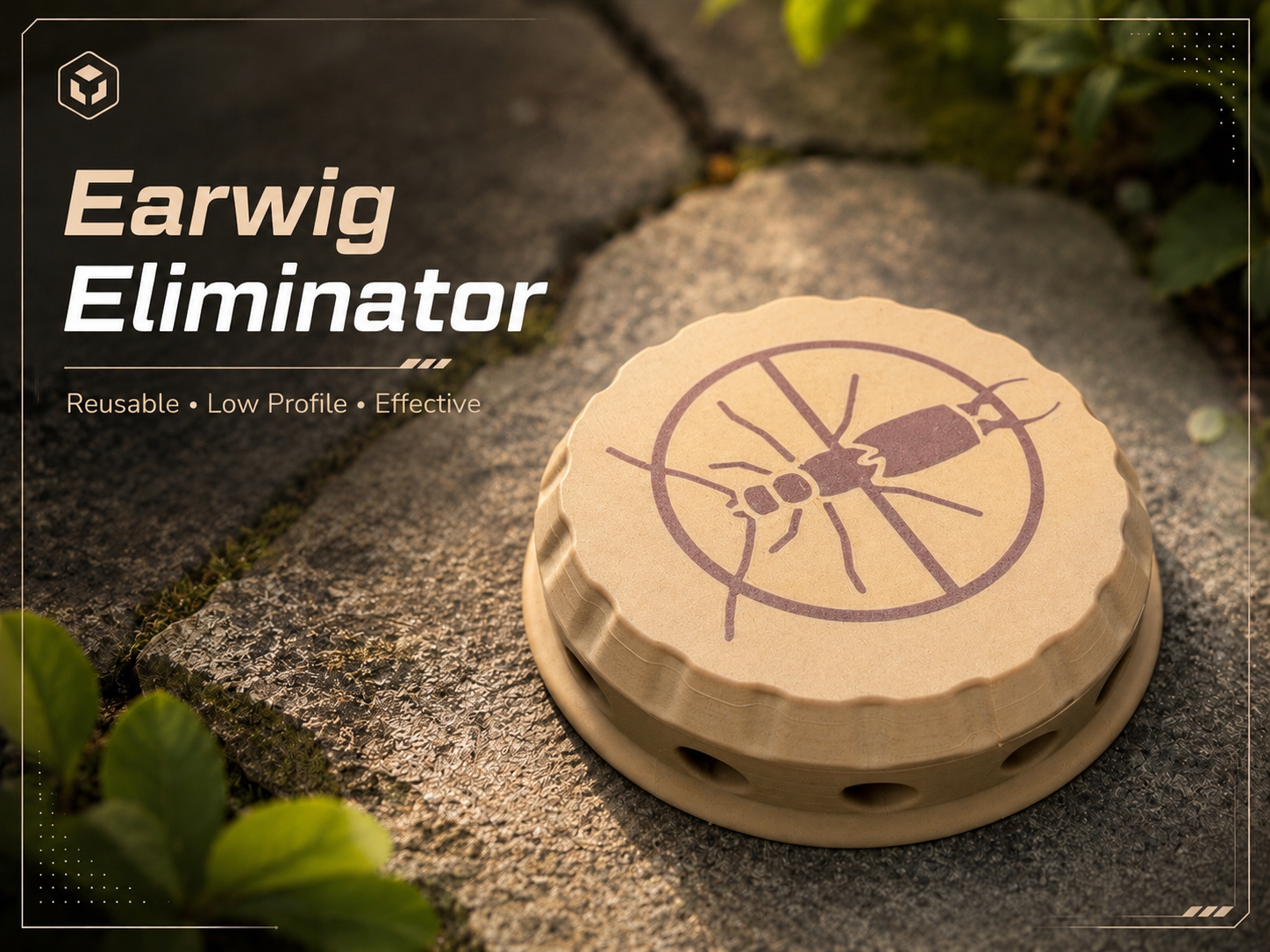 Earwig Eliminator  Trap