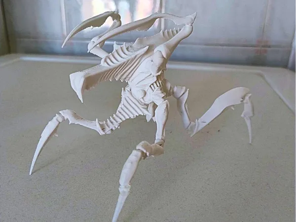 https://makerworld.bblmw.com/makerworld/model/US1cc86f08b901e7/design/5159d58c10e330e0.jpeg