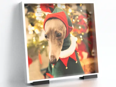 Picture Frame Anti-slip Base