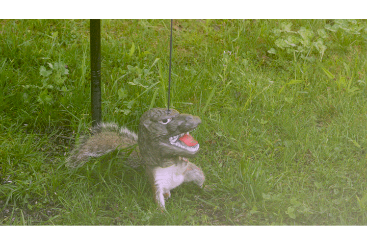 Godzilla head squirrel feeder
