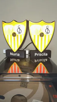 0.2mm layer, 2 walls, 20% infill