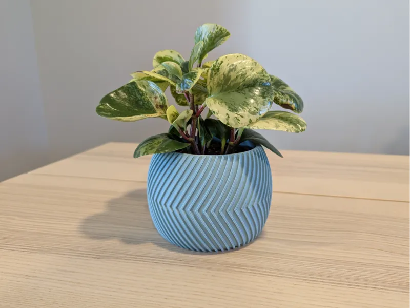 Artsy Directional Arrow Plant Pot