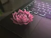 0.16mm layer, 2 walls, 7% infill
