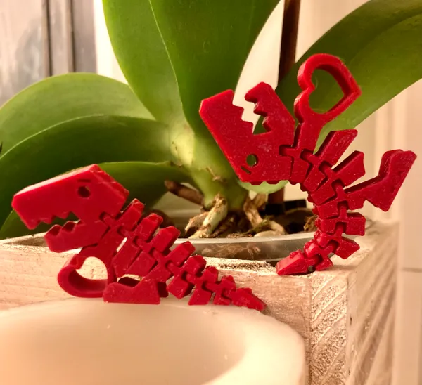 https://makerworld.bblmw.com/makerworld/model/US1cd9d2fbac5877/design/2024-02-08_aa3a59bbc66e3.jpg