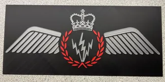 Airborne Electronic Sensor Operator Aircrew Wings
