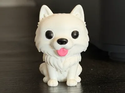 Samoyed