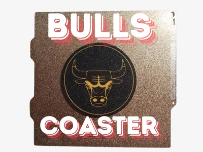 Chicago Bulls Coaster