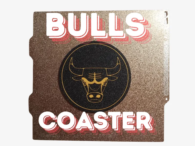 Chicago Bulls Coaster