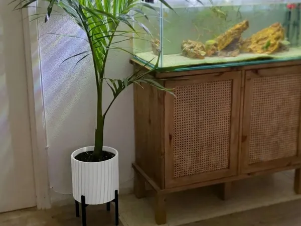 https://makerworld.bblmw.com/makerworld/model/US1ce0840c00075d/design/2025-11-24_822843a2ae7f4.jpg