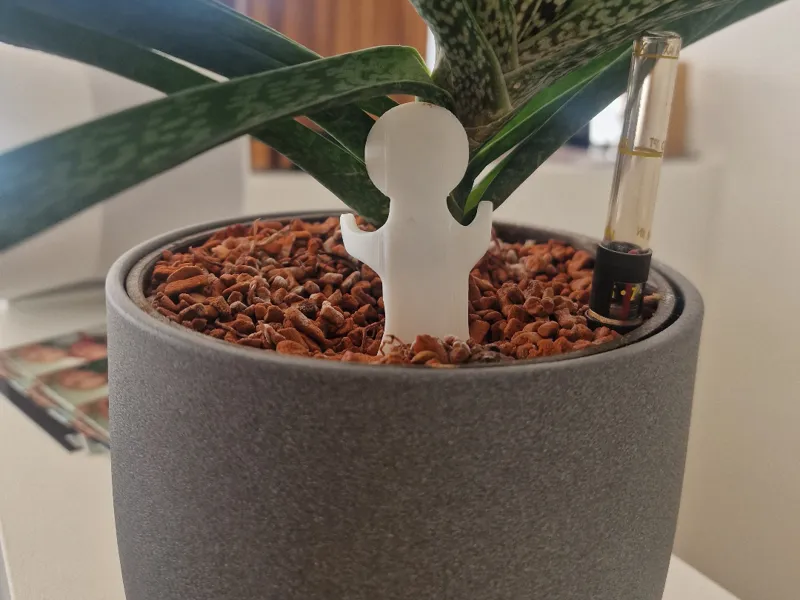 Plant Buddy - Plant Support