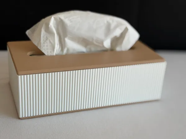 https://makerworld.bblmw.com/makerworld/model/US1ce4fe80670e04/design/2025-08-21_d7bcfe9335721.jpeg