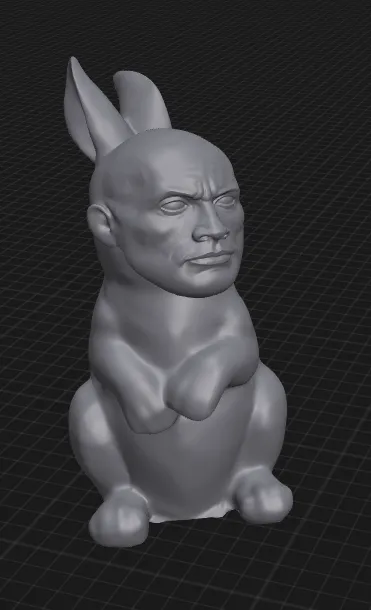 Dwayne The Rock Bunny