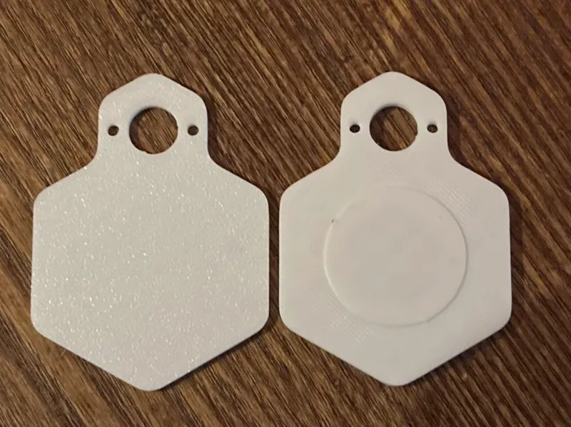 Hexagon style keychain Tag