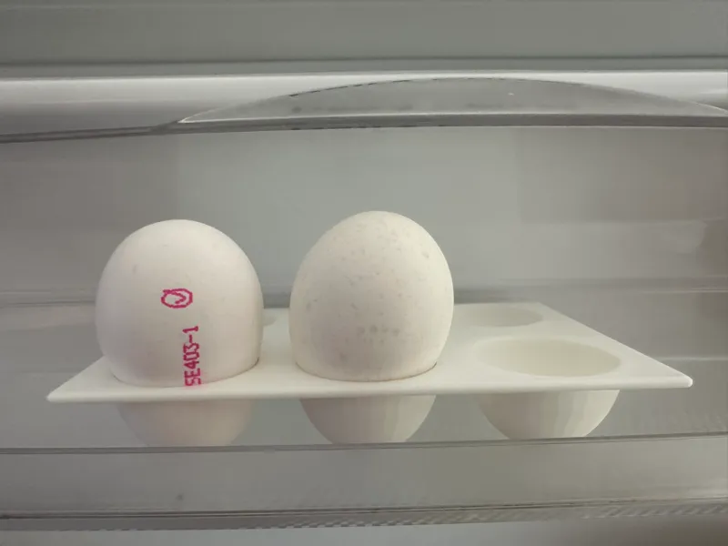 Egg Tray