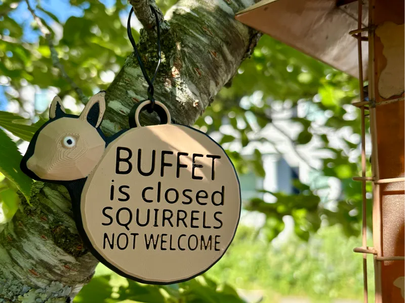 bird feeder no squirrel sign fun garden sign