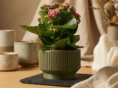 Modern Ribbed Planter