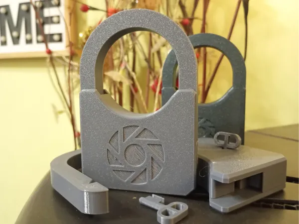 https://makerworld.bblmw.com/makerworld/model/US1ceae68ab6776/design/2025-01-05_ef5a8161ffdb3.jpg