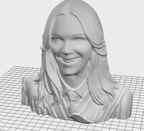 https://makerworld.bblmw.com/makerworld/model/US1cee34d587eb90/design/2024-11-19_056931c64e9ec.jpg
