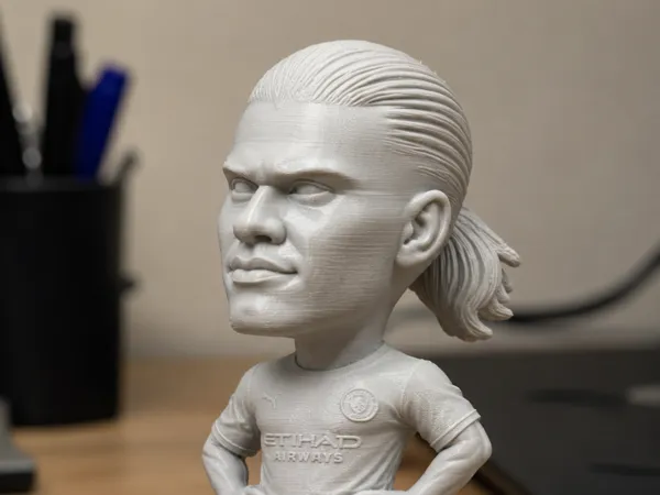 https://makerworld.bblmw.com/makerworld/model/US1cf0b2e033cdb5/design/0468bb579b411542.png