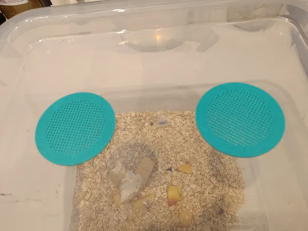 https://makerworld.bblmw.com/makerworld/model/US1cf666f222a990/design/2024-10-30_093ce6c6d81fe.jpg