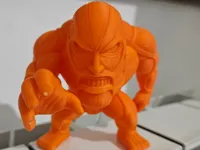 0.08mm layer, 2 walls, 5% infill